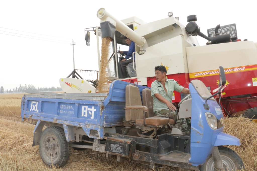 壹定发·(EDF)最新官方网站